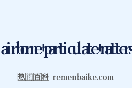 airborne+particulate+matters是什么意思的图片